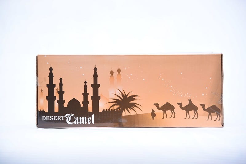 Arabic Desert Camel toy for kids